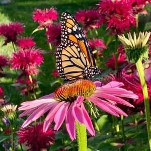 Meet your Posher, Margaret